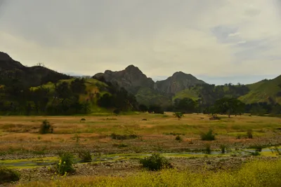 DSC_6295 (Large).JPG